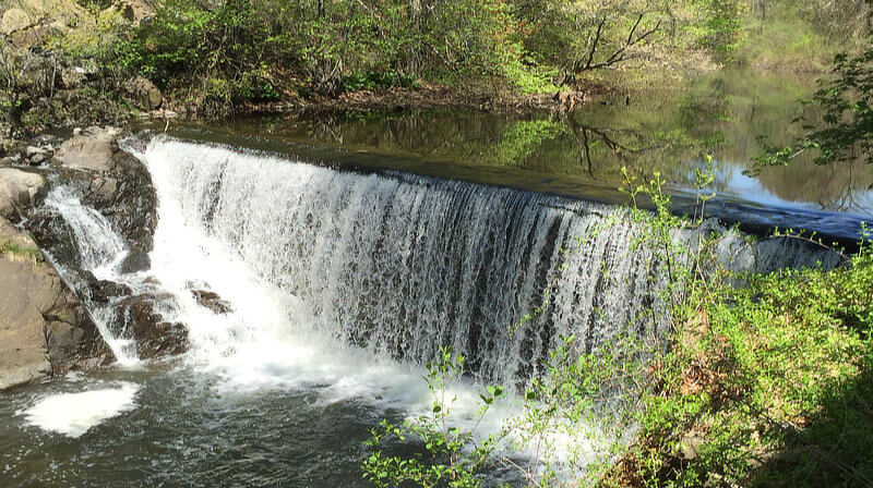 Flock Process dam